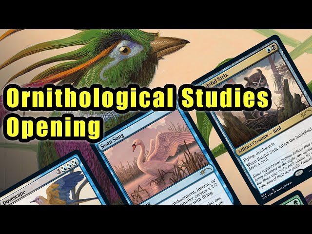 Ornithological Studies Secret Lair Opening - YouTube
