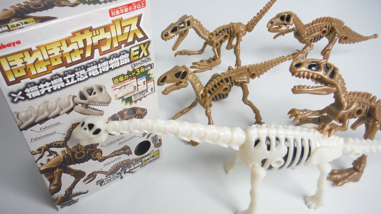 ほねほねザウルス×福井県立恐竜博物館EX 全4種 開封 Dinosaur