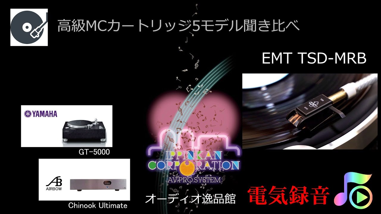 元箱付属のドイツ独国 Einstein 超高級 MCカートリッジ TU2