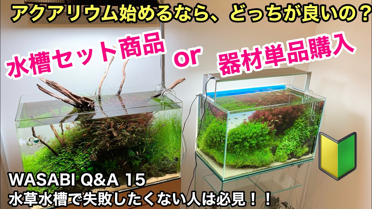水草水槽を始めるならセット商品？それとも単品購入？「Q＆A15