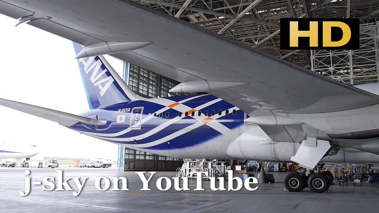 Good-bye Special Livery ANA 787-8 [JA801A] / さよなら 特別塗装機