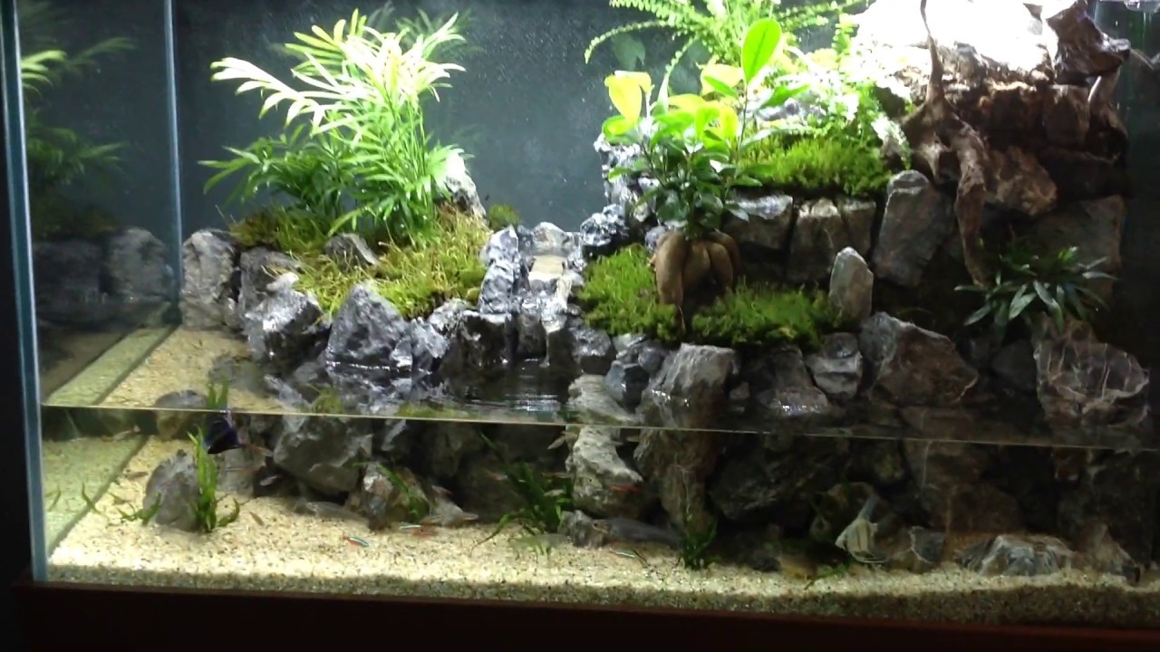 滝の流れるアクアテラリウム No.1122 滝の流れるアクアテラリウム No