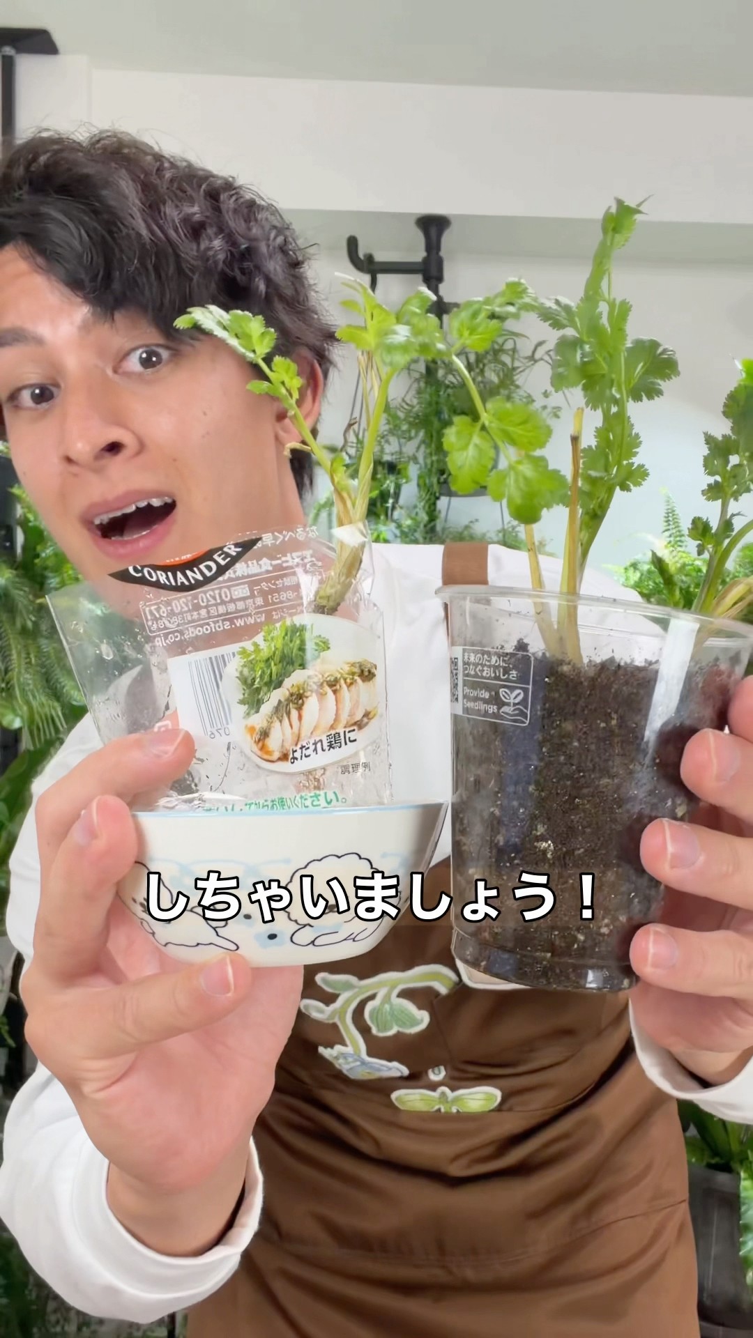 そらベジ🥝ガーデンハック - YouTube