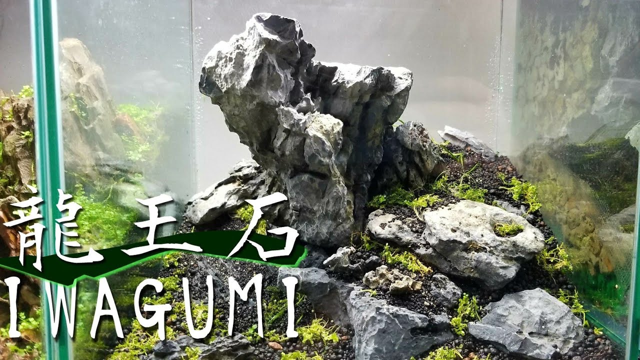 万天石 アクアリウム ADA 親石 石組レイアウト 水槽レイアウト 水草 万