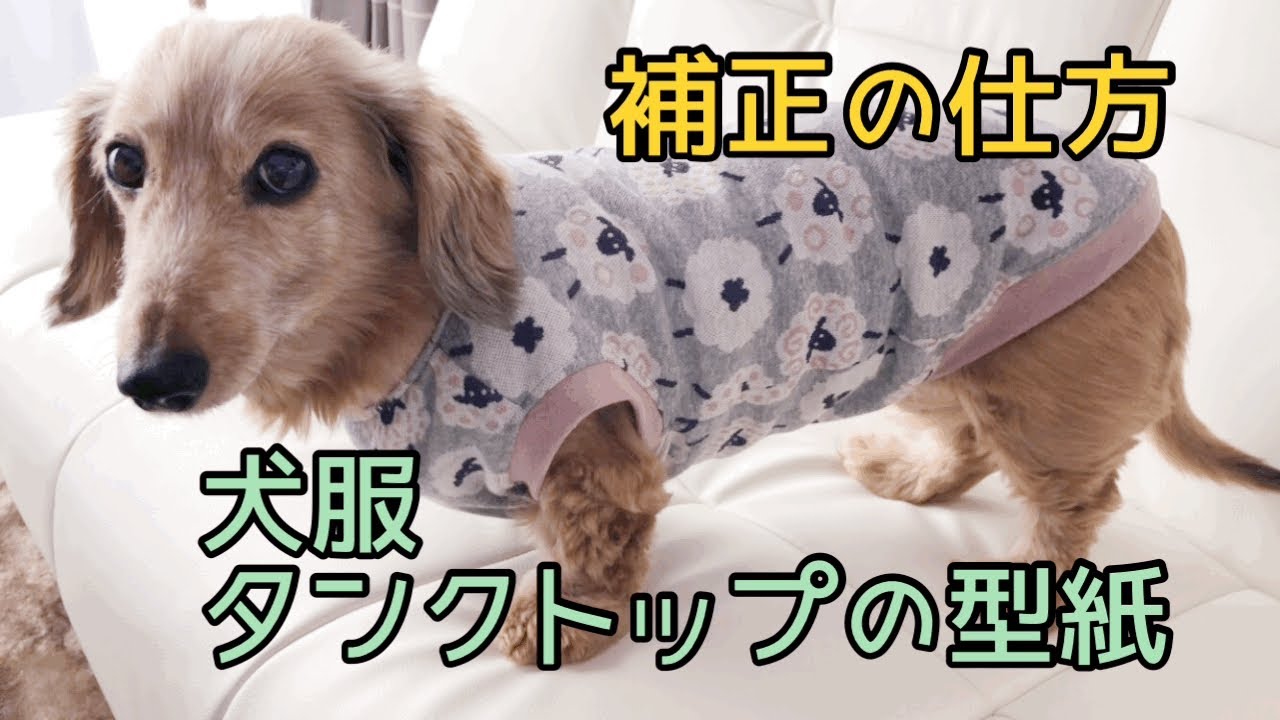 犬服 タンクトップの型紙補正のやり方 ダックス用 - YouTube