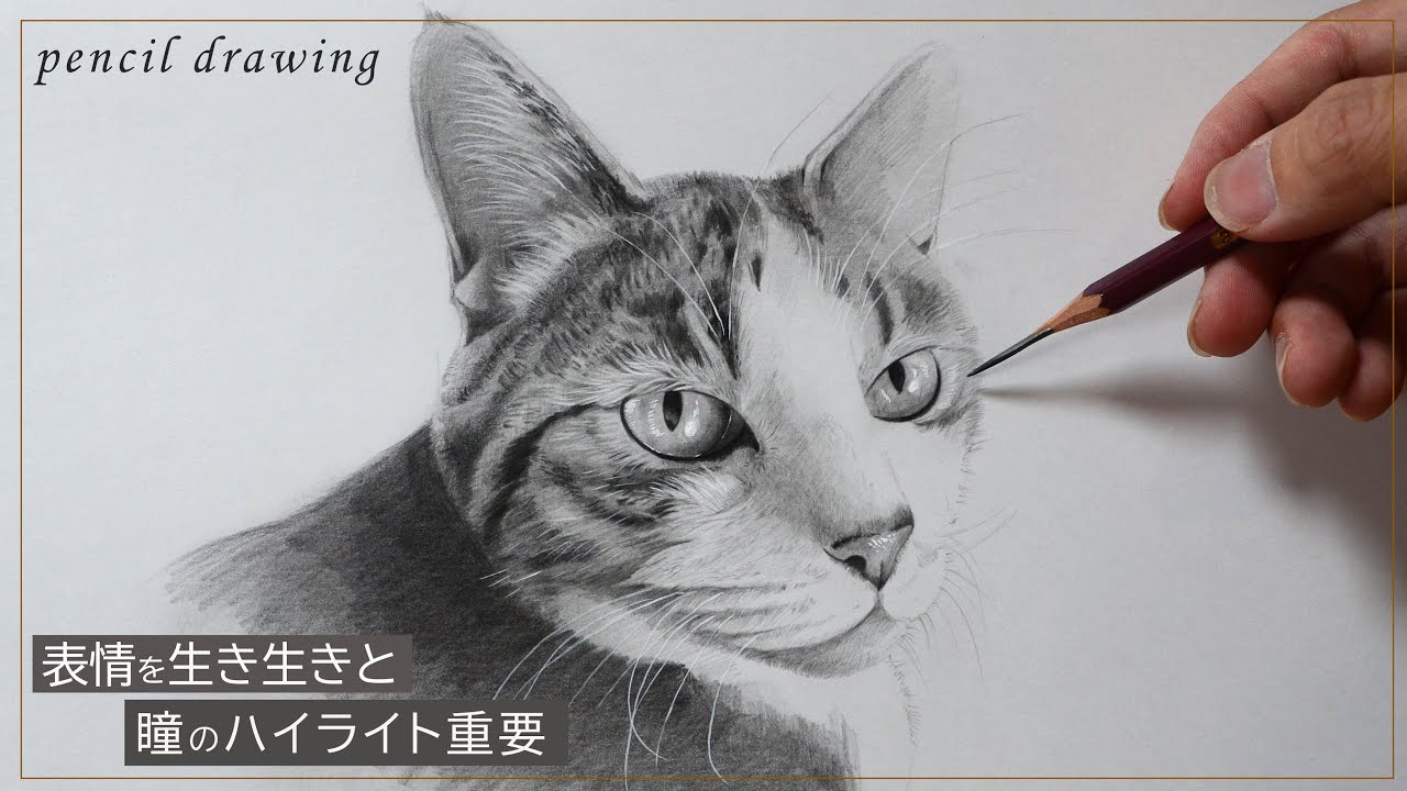CAT 絵画 イラスト ドローイング 【公式通販】