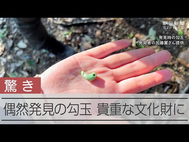 偶然発見した勾玉が文化財に 和歌山で古墳めぐりの最中に - YouTube