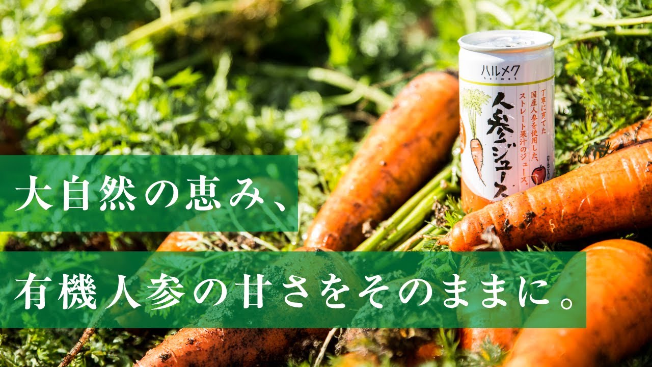 ハルメク 人参ジュース（ビン6本）: ｜ カタログ通販のハルメク