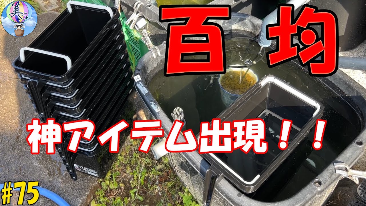 トロファスト＋ダイソー メダカ水槽用容器31個セット 中古品 トロ