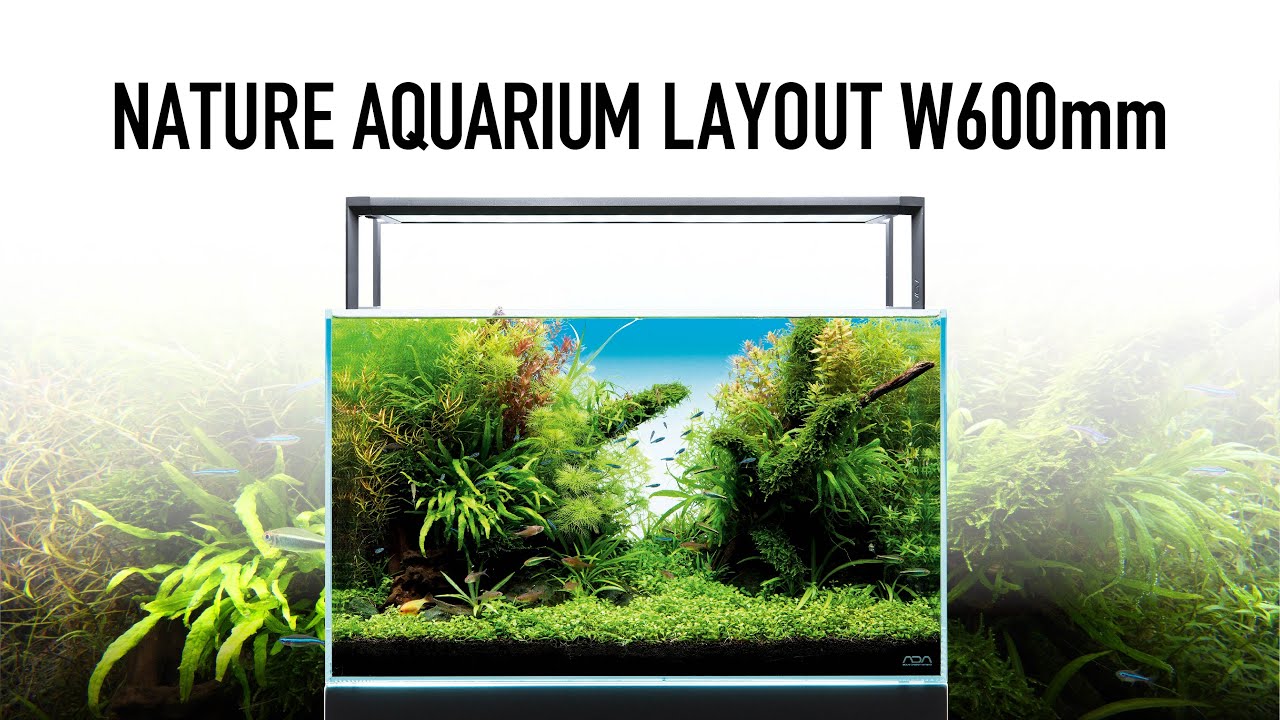 ADA NATURE AQUARIUM 照明本体 アクアスカイG - 進化する光。 | ADA