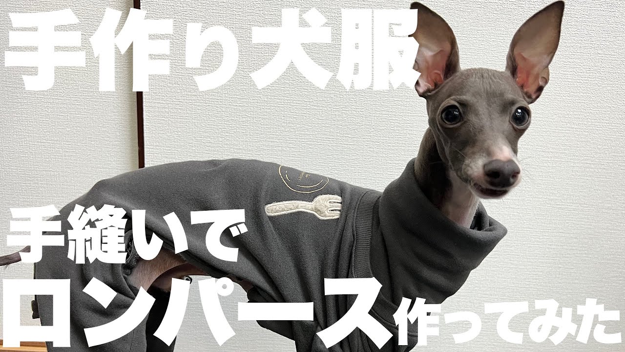 ロンパース】子供服から犬服作ってみた【DIY】 - YouTube