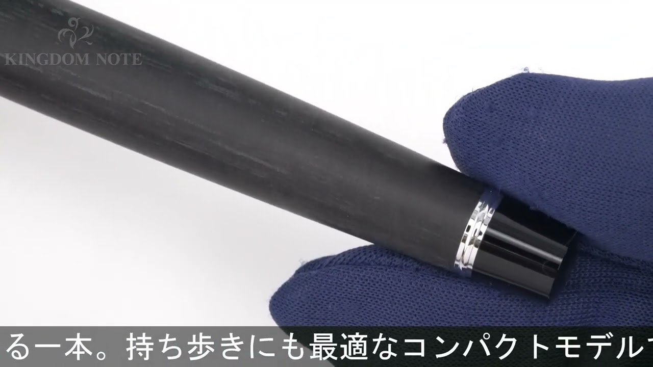 PILOT パイロット 万年筆 レグノ89s ブラック 細字 - YouTube