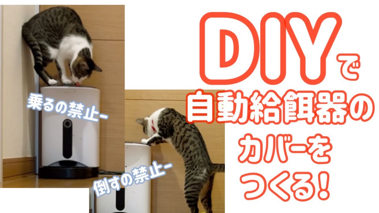 メーカーさんお願いします】給餌器のカバー手作りました。ヤンチャな猫