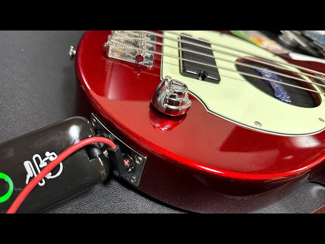 ピグノーズ ブタ鼻新品交換 ピグノーズ ブタ鼻新品交換 楽天市場】pig