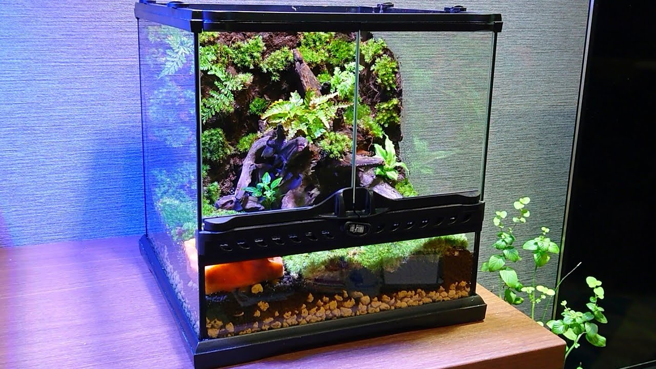 40cm イモリウム パルダリウム テラリウム水槽