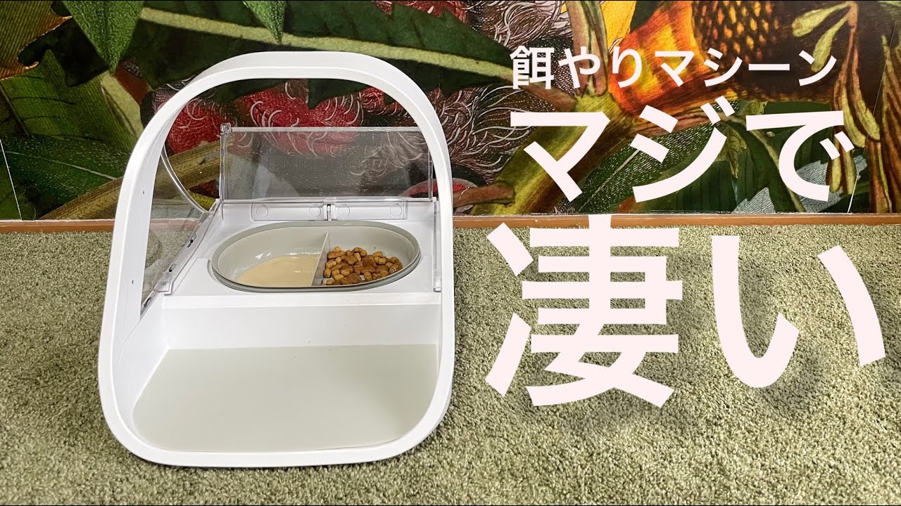 2匹以上の猫飼い必見】ご飯を別々に与えれるマシーンを手に入れました