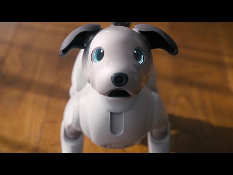 レンタル] ソニー エンタテインメントロボット aibo アイボリー