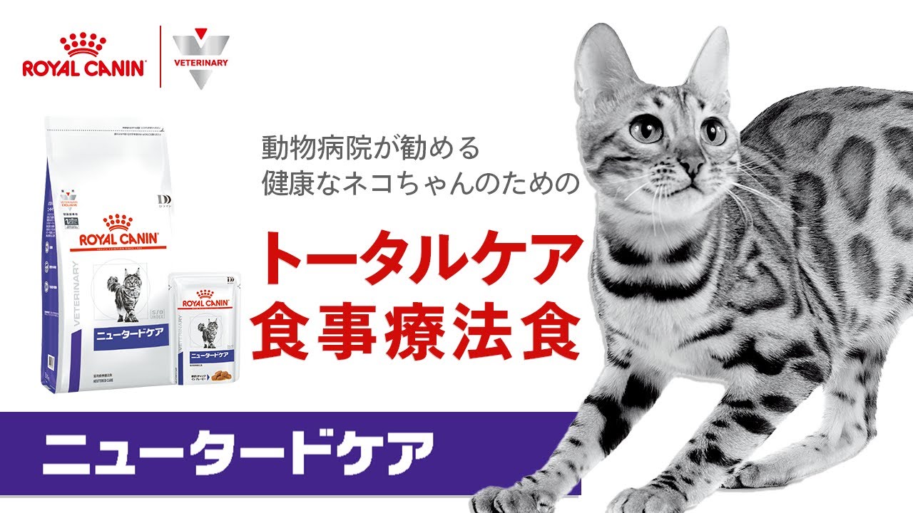 普通のサラリーマンさん用ロイヤルカナン猫用 ニュータードケア3.5kg2