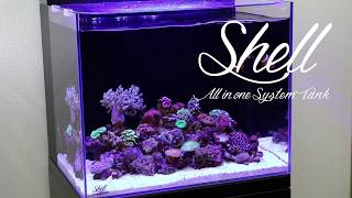 シェルⅡ|ORCA｜MMC企画 レッドシー事業部