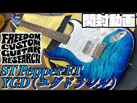 t*k様 freedom custom guitar research Prea 開封の儀！Freedom Custom