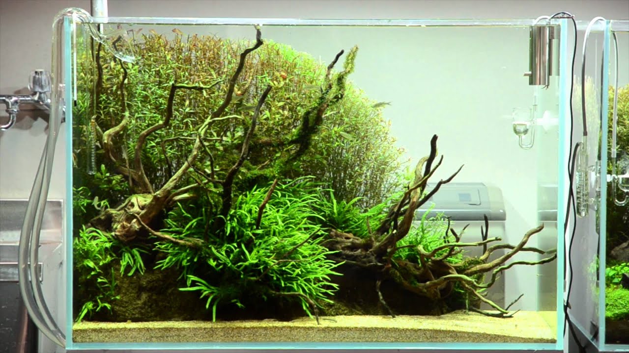 ADA製品まとめ売り 年末年始は店頭へ「ADA PRODUCTS 2018」 | AQUA