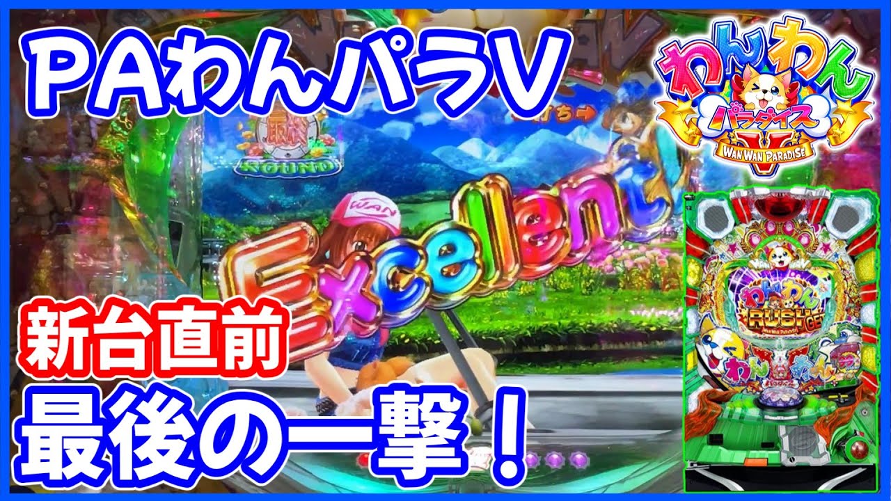 PAわんわんパラダイスV】新作導入直前にわんパラVを打ち納めしてきまし