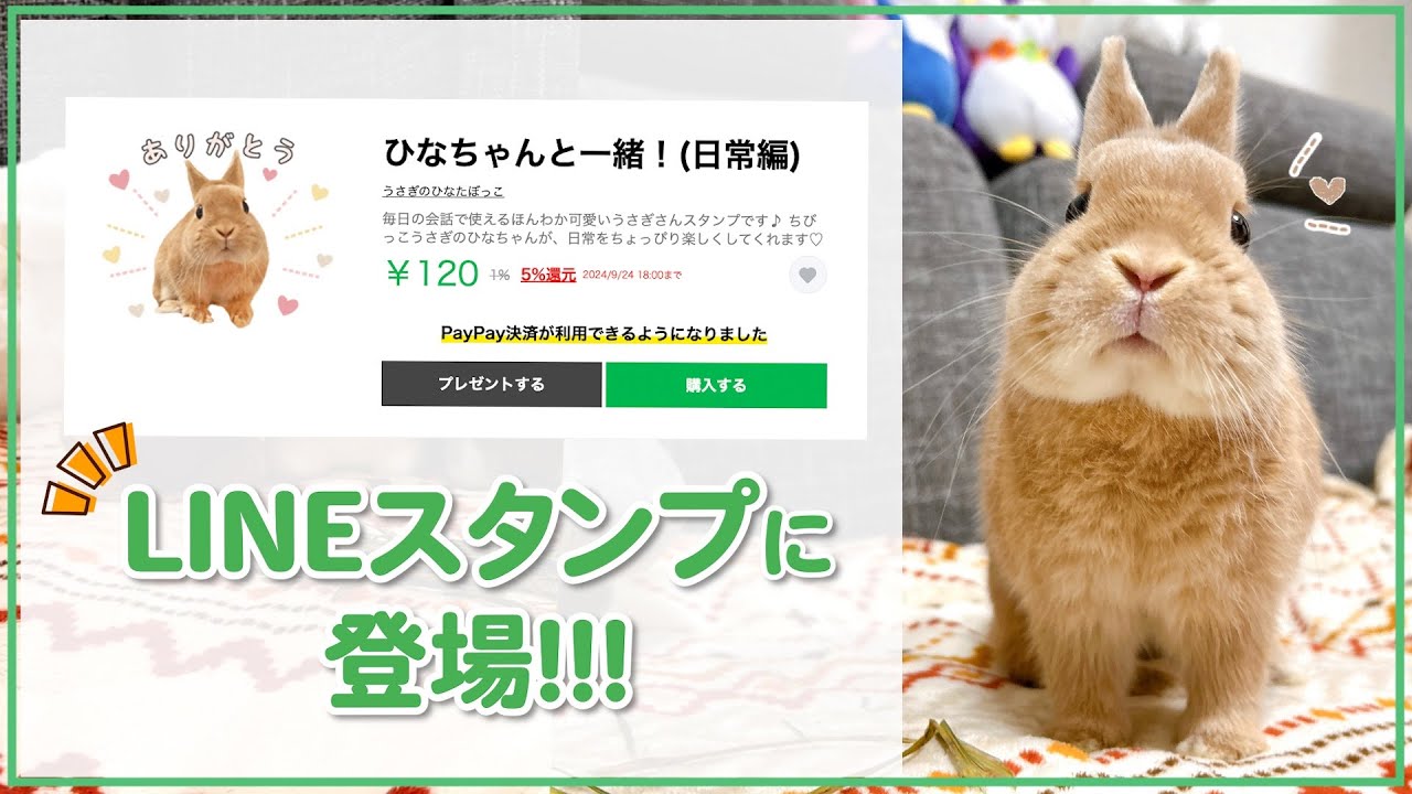 うさぎ】ひなちゃんの日常を詰め込んだLINEスタンプができました