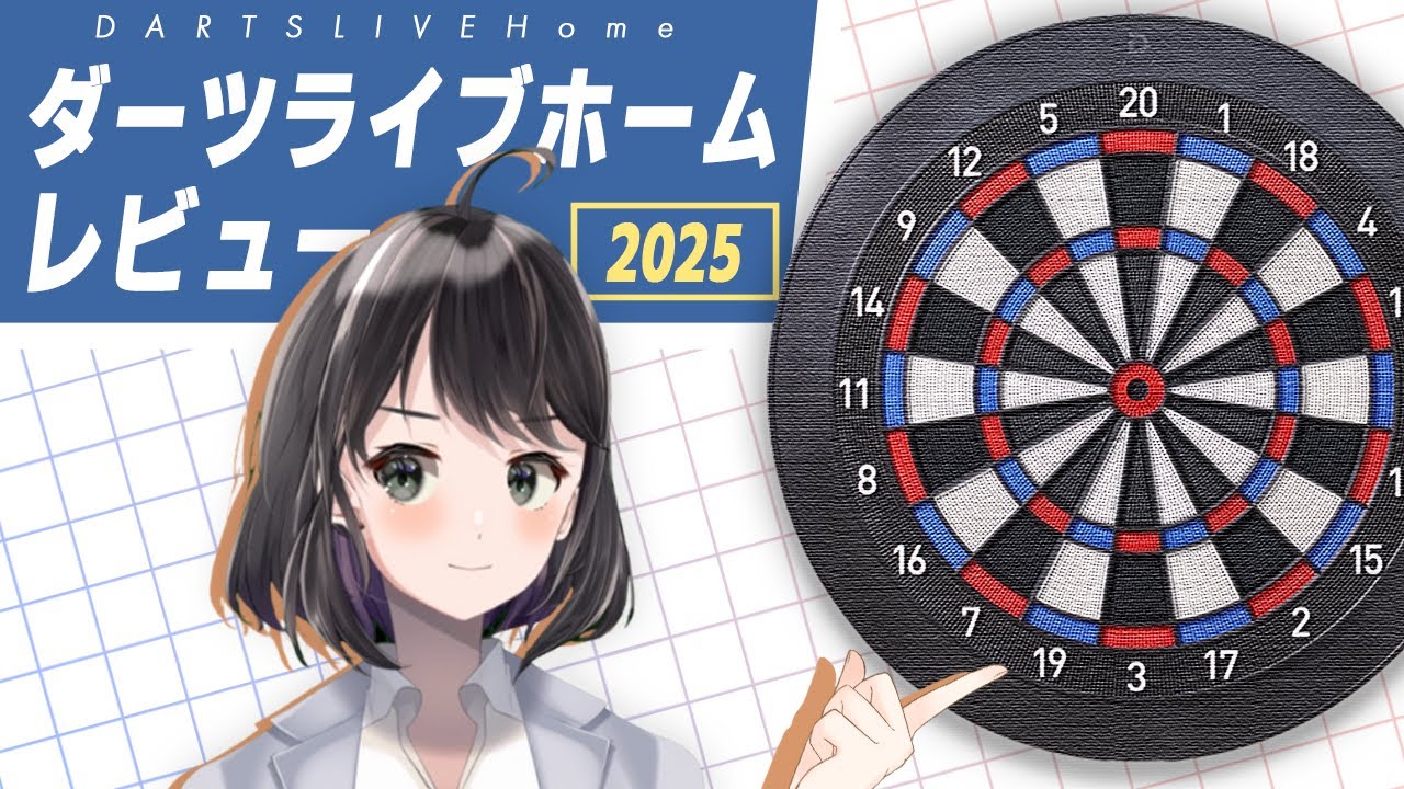 早い者勝ちDARTSLIVE (ダーツライブ ホーム) 付属品箱全てあり