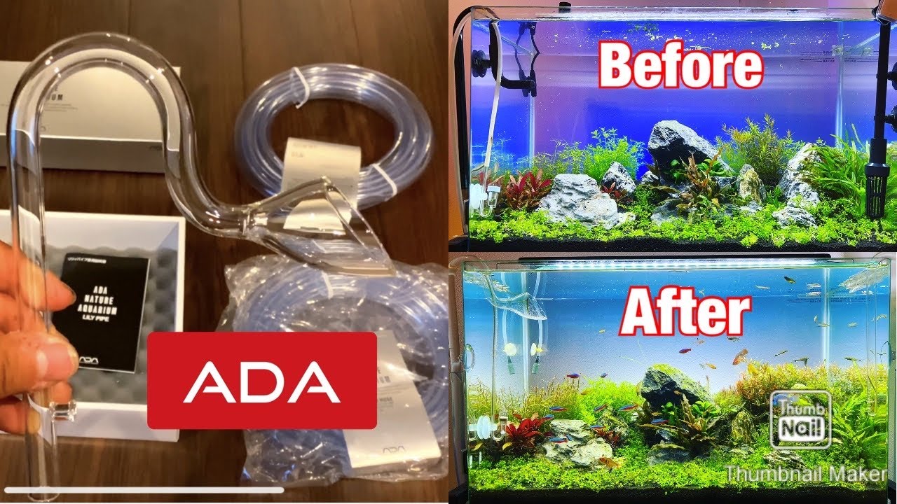 60cm水草レイアウト水槽 ADAリリーパイプ取り付け! 水槽がスッキリ