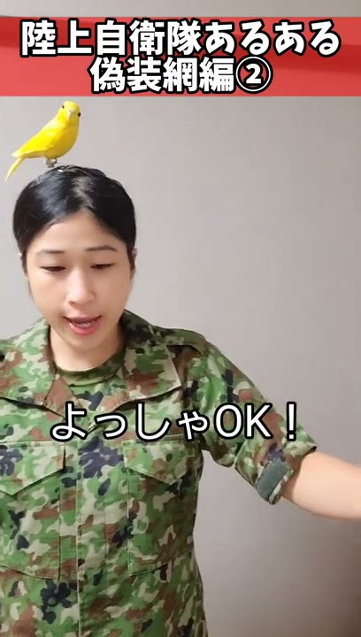 陸上自衛隊あるある】偽装網編② 偽装網秋冬用と春夏用間違えがち