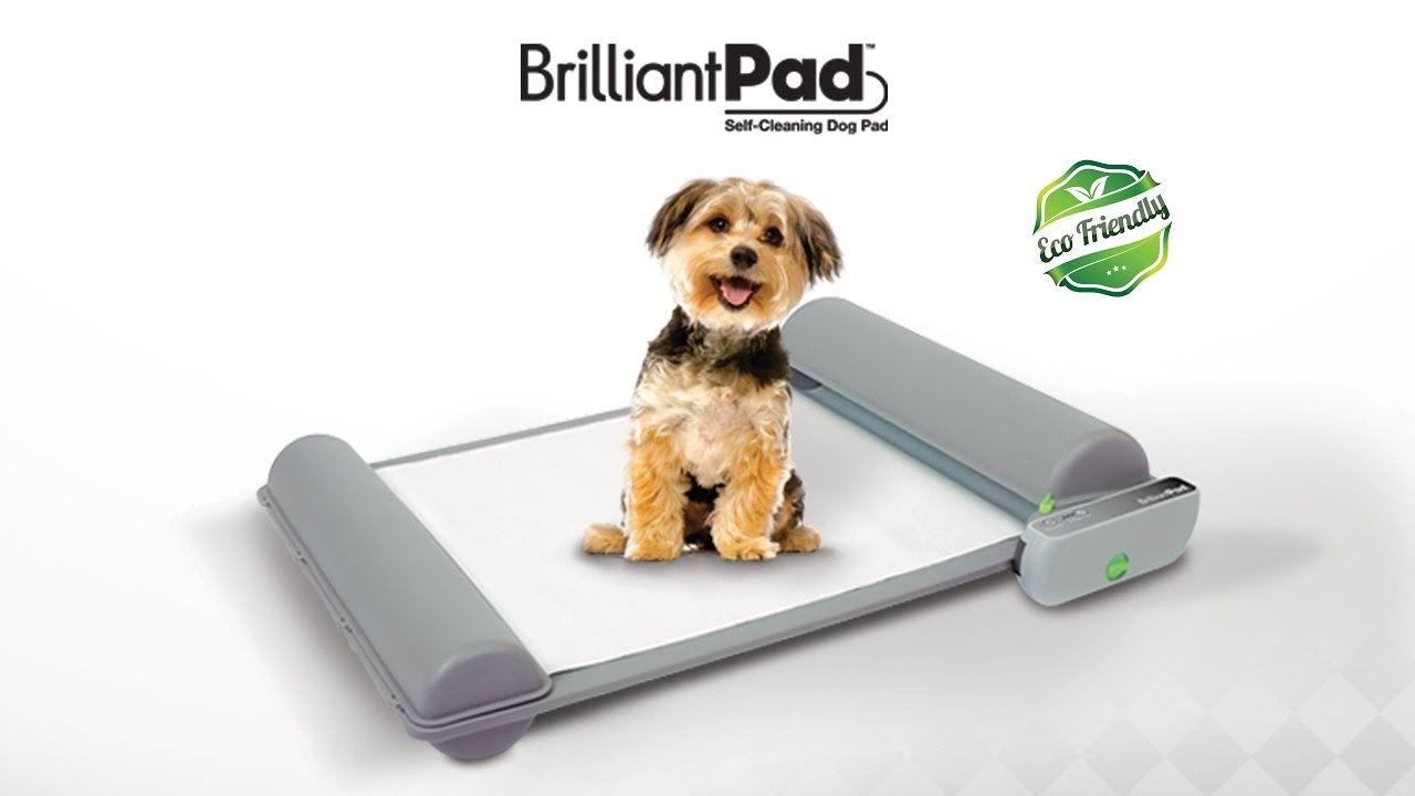 Brilliant Pad｜室内小型犬用自動クリーニング機能搭載トイレ