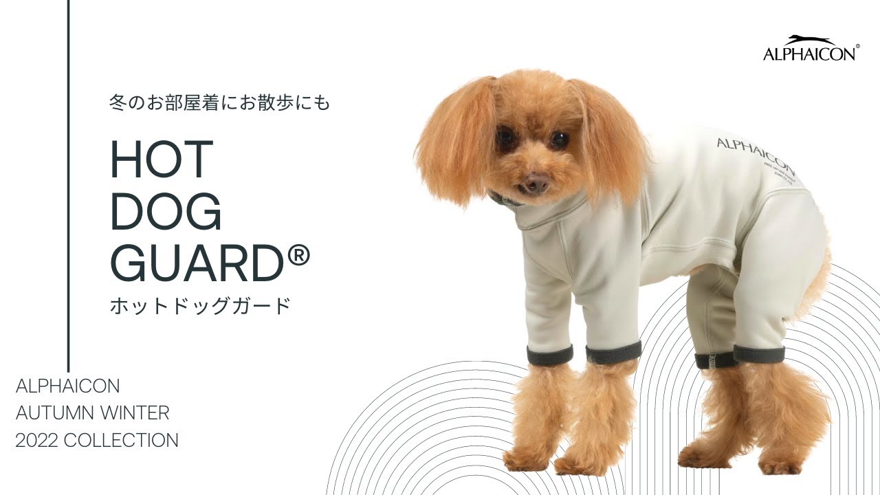 アルファアイコン ホットドッグガード 2023 L DINGO/アルファアイコン