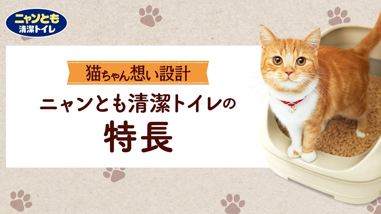 ニャンとも清潔トイレ 脱臭・抗菌チップ 大きめの粒（4.4L） | ペット