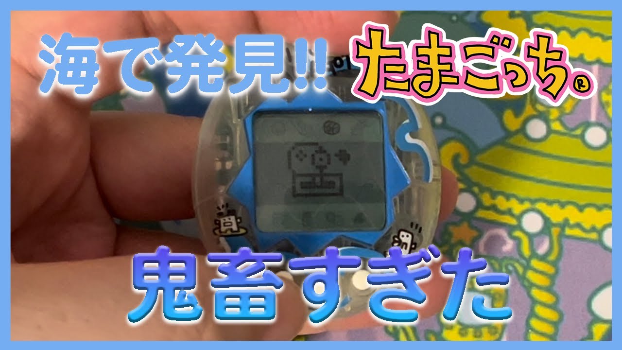 たまごっち育成動画】海で発見‼︎たまごっち。覚悟して見てください