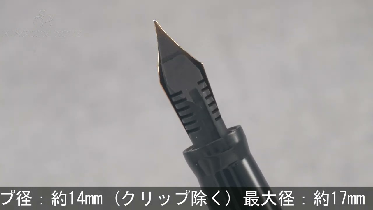 PLATINUM プラチナ 万年筆 創業70周年記念 金透かし 唐草模様 細字