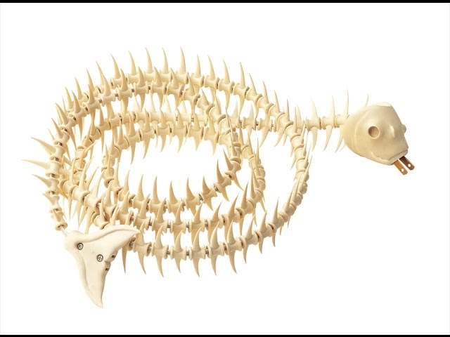 魚コード（オリジナル版） NACORD original - YouTube