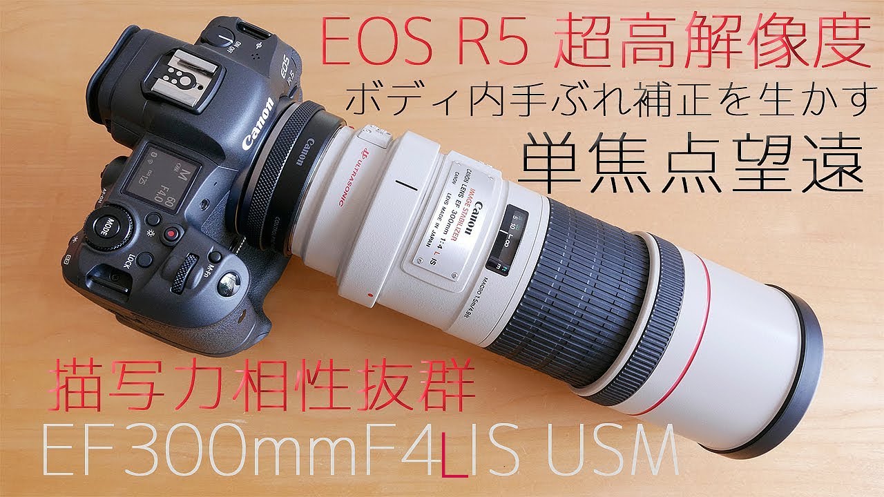 Canon EF300mmF4L IS USM EOS R5: Synergistic Effect with In-Body