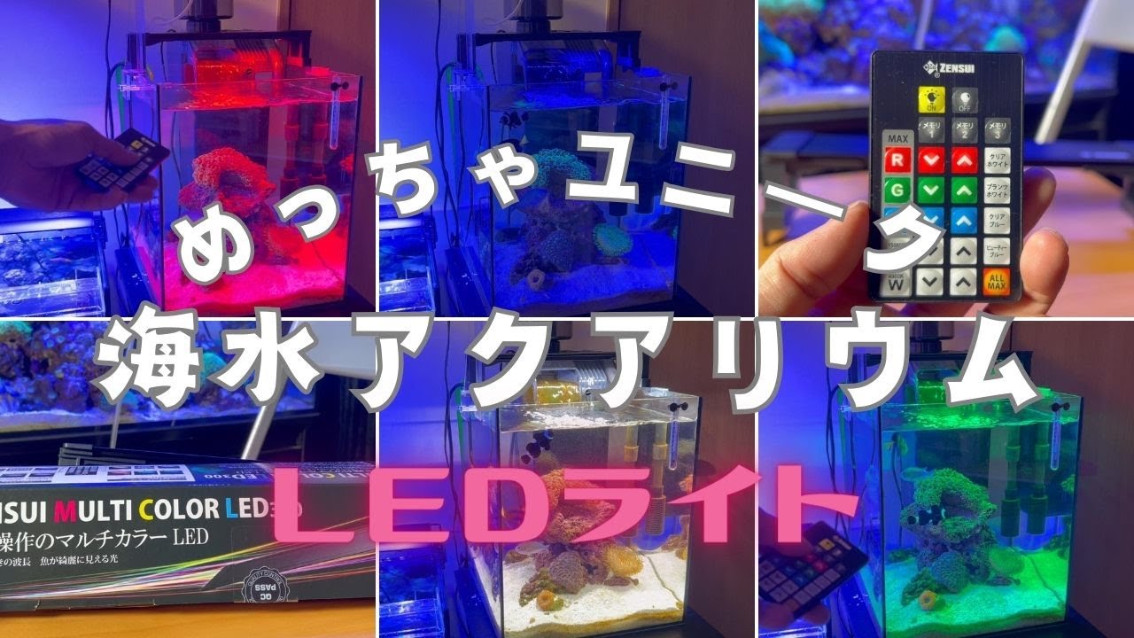 アクアリウム】最高にユニークなLEDライト/ゼンスイマルチカラーLED