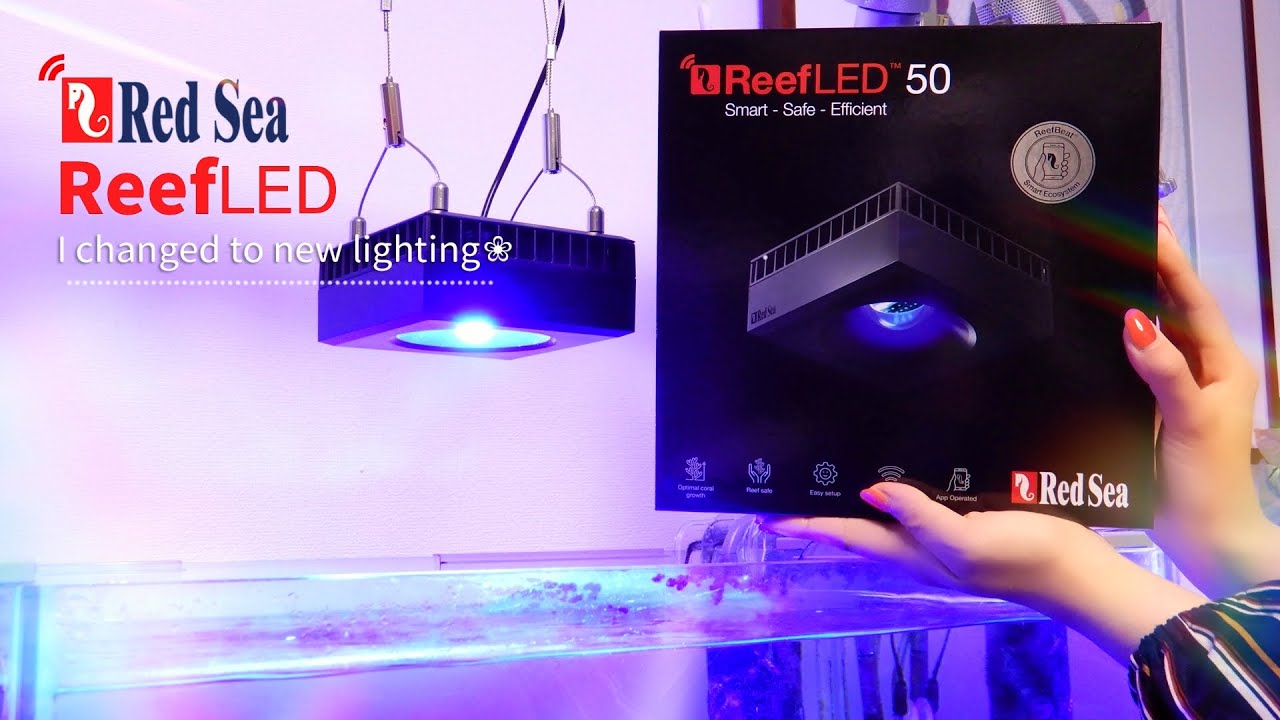 リーフLED50 Red Sea ReefLED 50 照明本体のみ reef led50」の人気商品