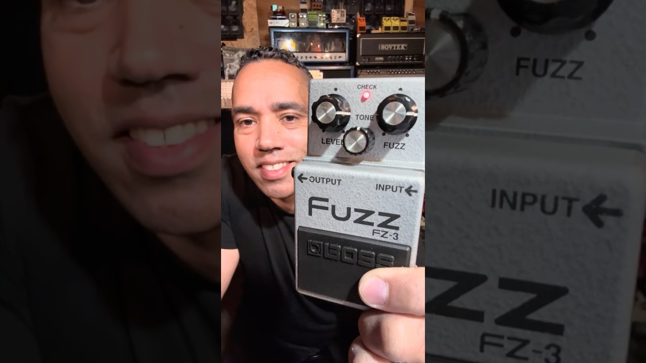 Boss Fuzz FZ-3 | Daily Tone Chase #guitar #guitartone