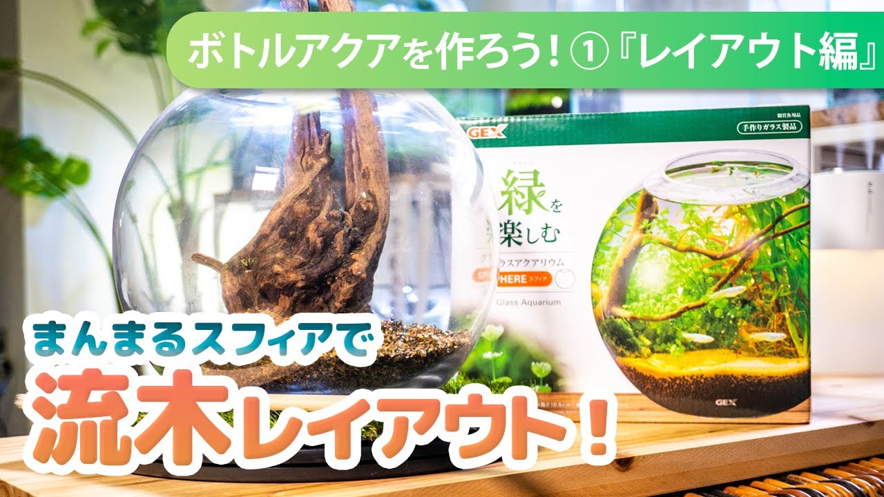 Let's make a bottle aquarium using a spherical bottle, just like