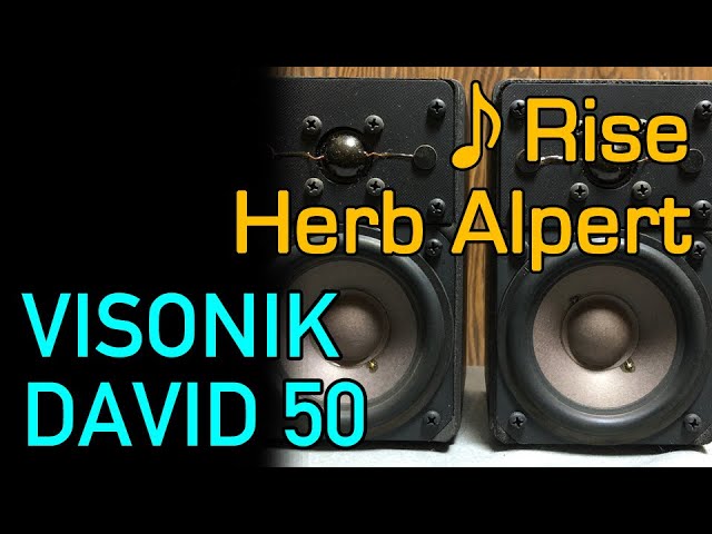 VISONIK David 50 ブックシェルフ型スピーカー VISONIK David50の仕様