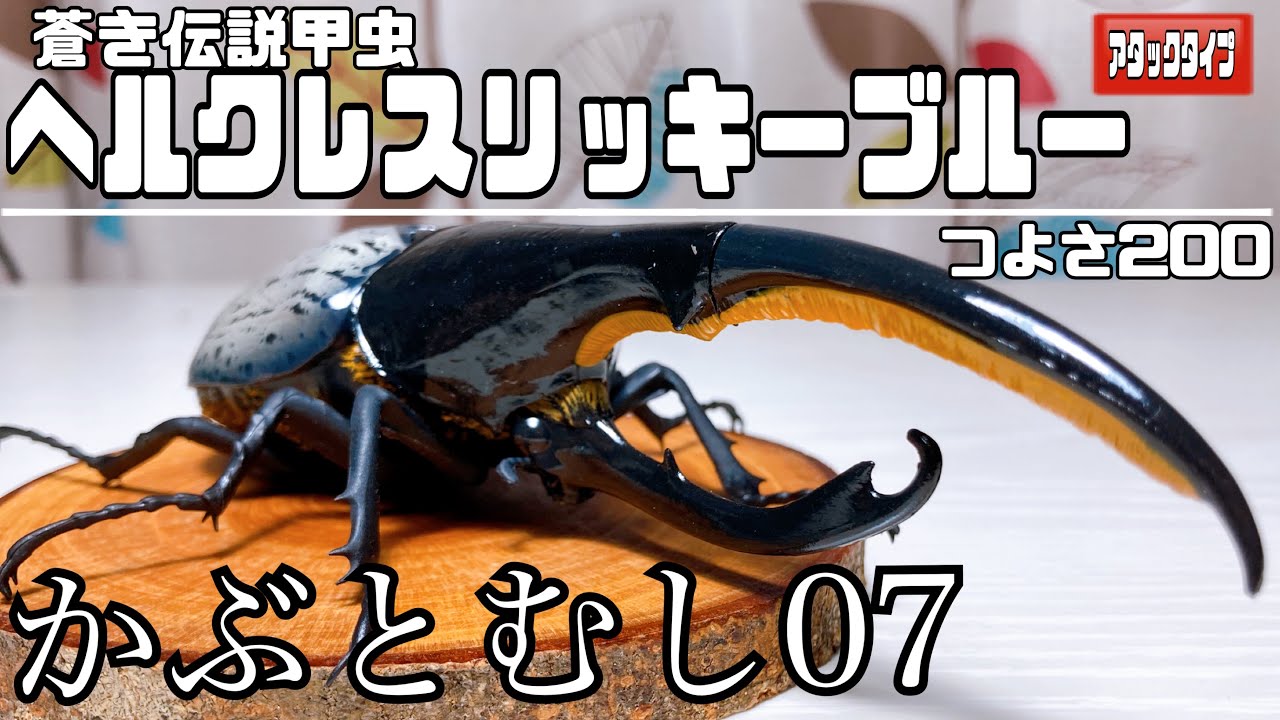 いきもの大図鑑プレミアム ヘラクレスオオカブト リッキーブルー