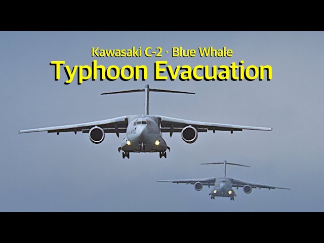 ASMR 入間基地] 美保基地からの台風避難で C-2輸送機がいっぱい