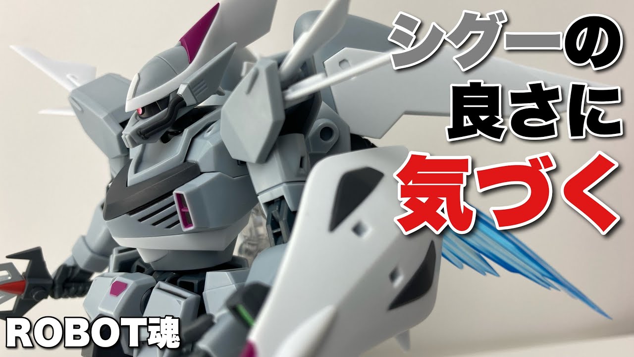 ROBOT魂＜SIDE MS＞】ガンダムSEED ZGMF-515 シグー ver.A.N.I.M.E.を