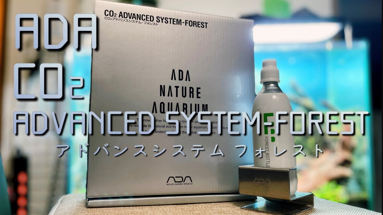 4 ADA | CO2 Advanced System - Forest: Why I stopped using it after