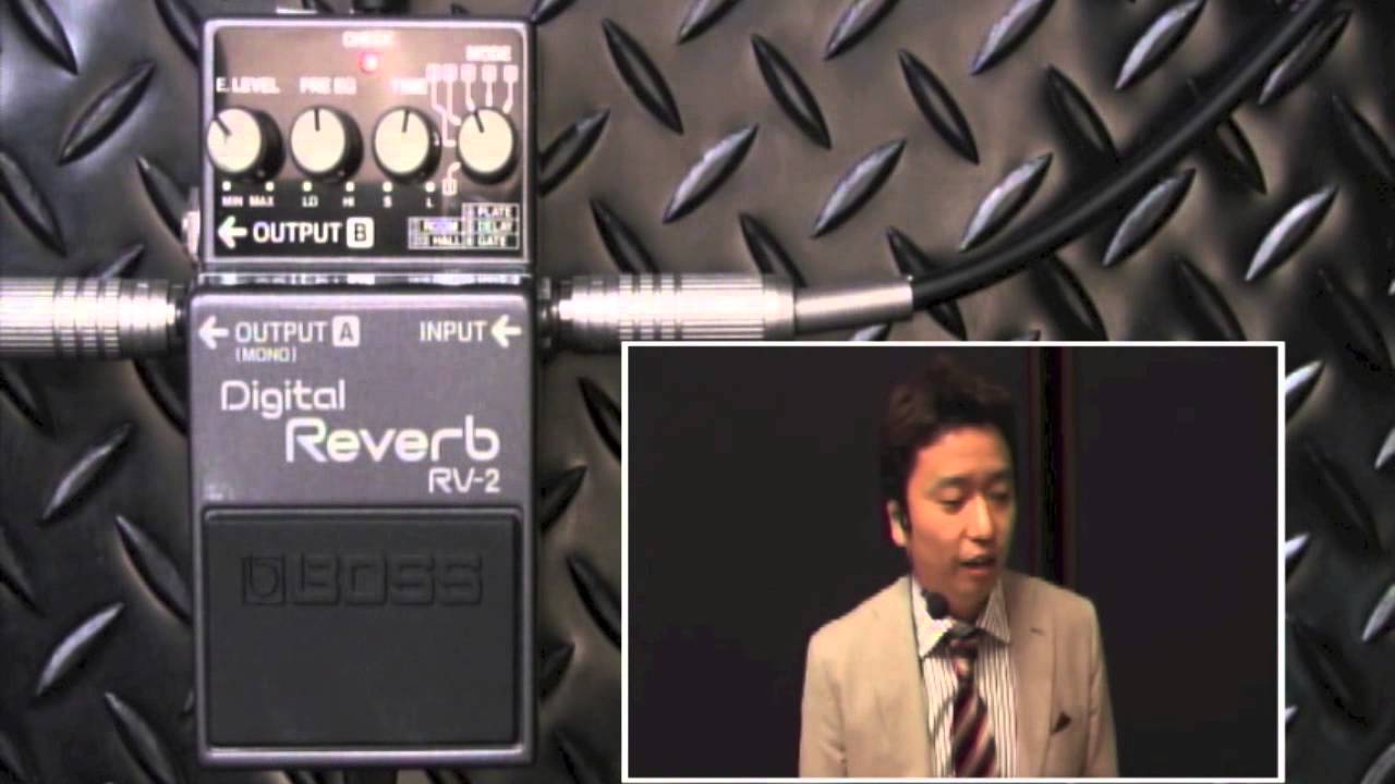 boss RV2 デジタルリバーブ Boss RV-2 Digital Reverb (The Japanese