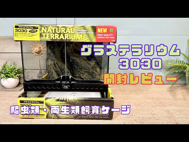 EXO TERRA 3030 ミニワイドグラステラリウム GEX（ジェックス） 爬虫類