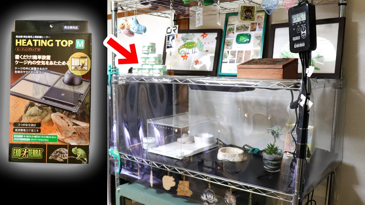 温室・飼育ケース kuroganeotome 温室・飼育ケース kuroganeotome 温室