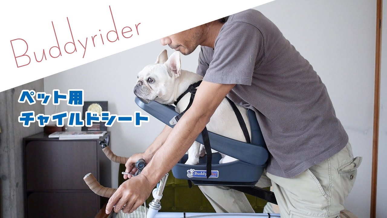 ペット乗せ自転車になる『バディーライダー』なにがスゴいのか口コミし
